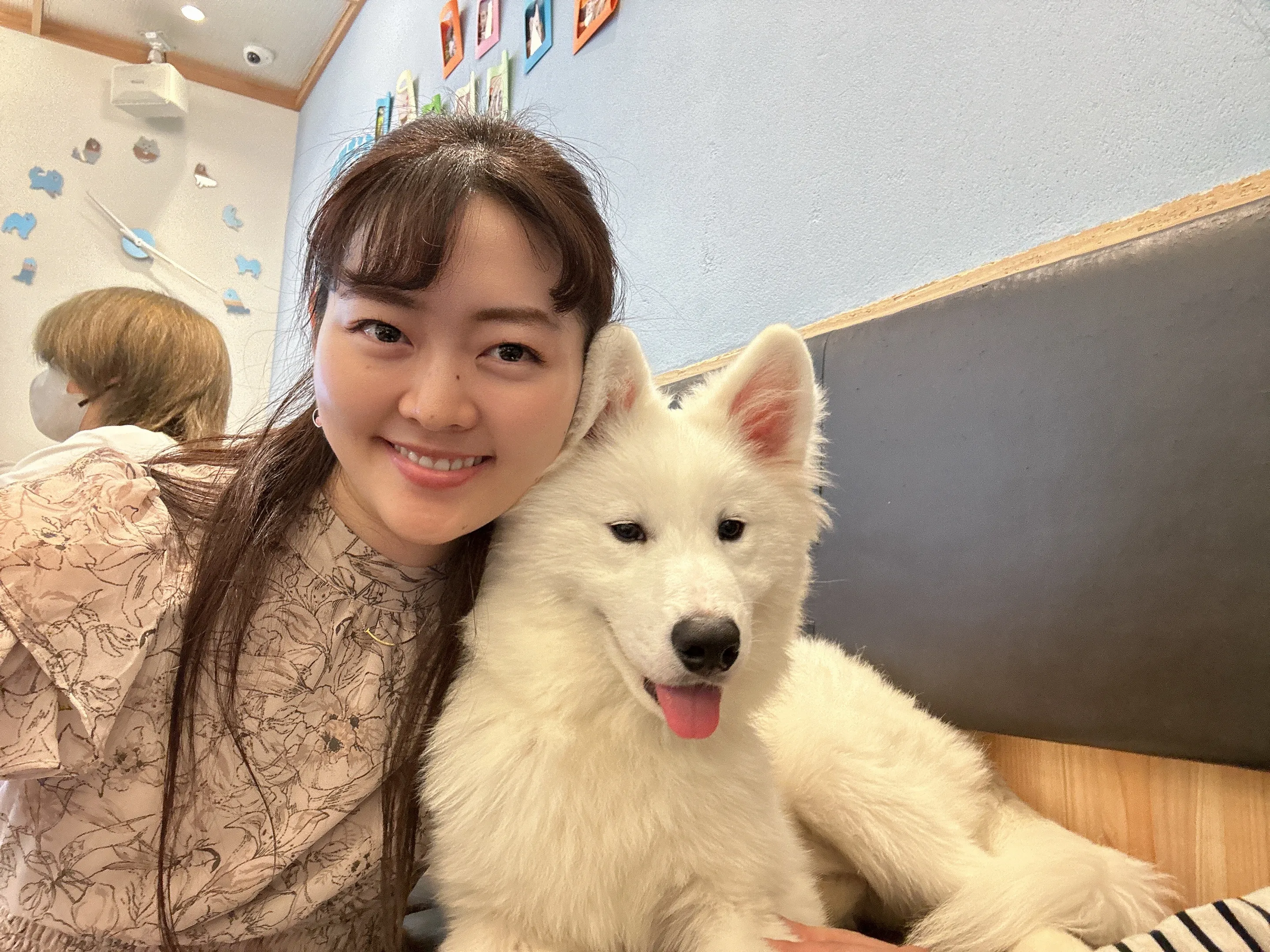 【犬カフェ】『サモエドカフェ アル』でもふもふしてきました♡