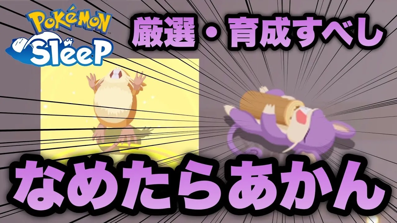 実は厳選必須のコラッタ！優秀個体が出たので育成する【ポケモンスリープ/安心院幽】 - YouTube