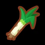 ふといながねぎ画像