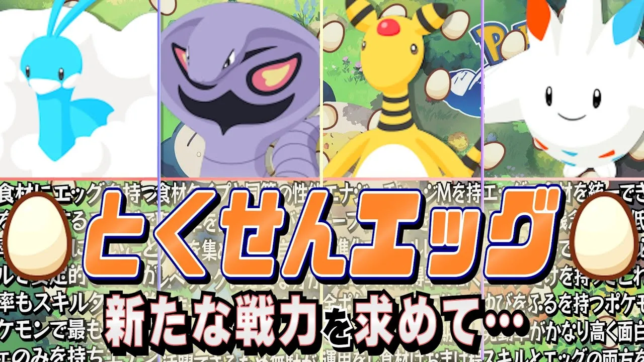【性能考察/解説】カメックス級の取得率！？難関食材エッグ収集の可能性を探っていく！【ポケスリ/とくせんエッグ】 - YouTube