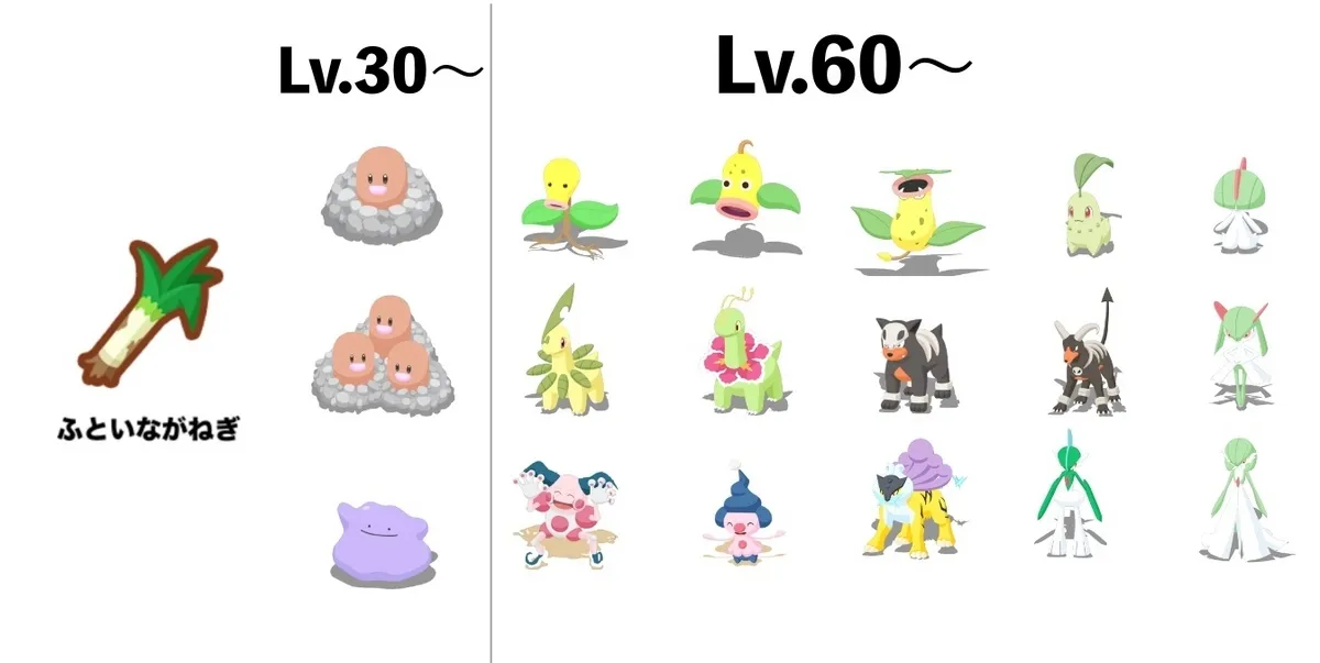 ふといながねぎを持ってくるポケモン